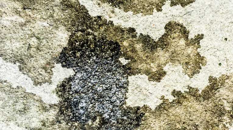 How to Clean Oil Stains From Your Concrete Driveway Easily